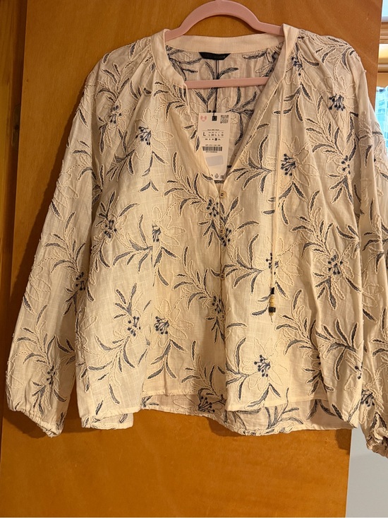 Zara Tops - Zara Cream Blouse with Blue Floral Embroidery
